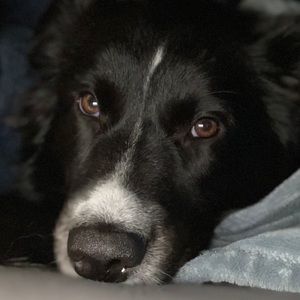 Meet your Posher, Rafa